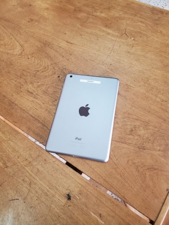 apple-ipad-mini-3-big-0