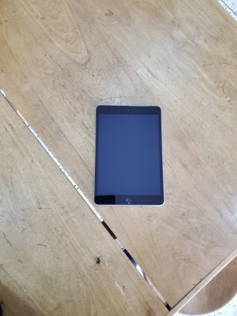 apple-ipad-mini-3-big-1